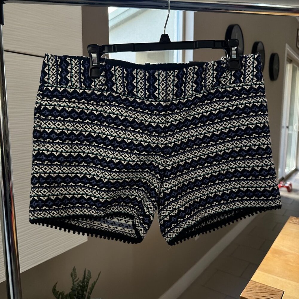 The limited - tribal embroidered shorts